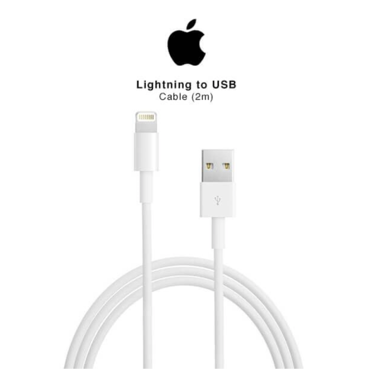 Apple Lightning to USB Cable (2m)