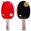 Vợt bóng bàn 729-2060