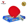 Vợt bóng bàn 729 2010