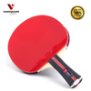 Vợt bóng bàn 729 VERY 3 star