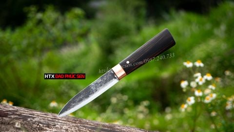 その他 DAO Dao bóc tỏi, gọt hoa quả - DBTMDD – HTX DAO PHÚC SEN - HÀNG