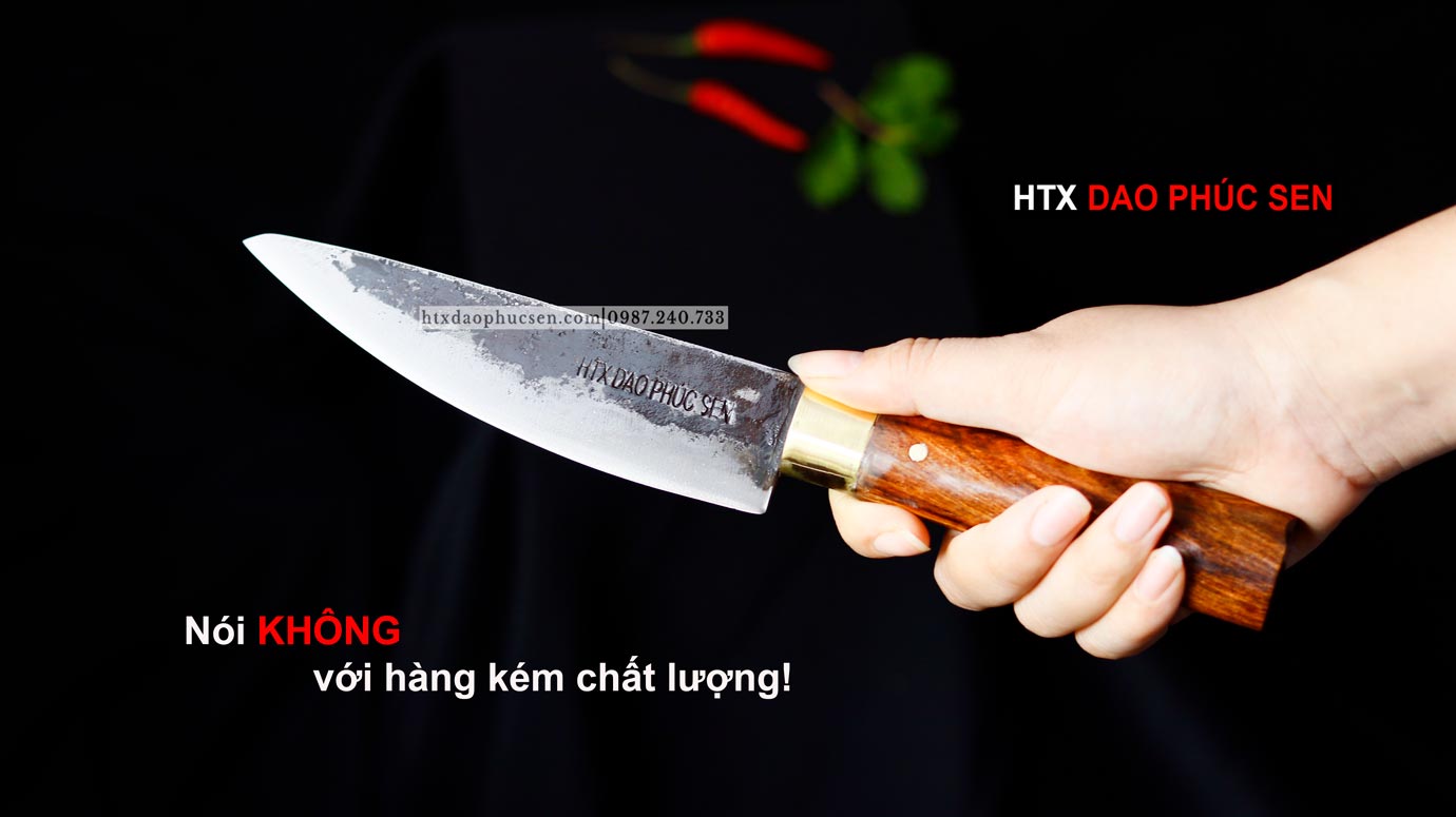 Phúc Lộc Amazon.com: Replacement for 1997 Cagiva City, Lucky