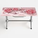  Bàn kiếng nhập chân Phi thuyền 