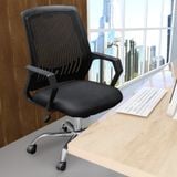  Ghế trưởng phòng DELI Roma 