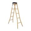 Thang sắt FELIX HAKAWA - Nội Ngoại Thất Inox Nhựa - Qui Phúc - quiphuc.com