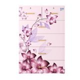  Tủ nhựa DELI MAX 5 tầng 