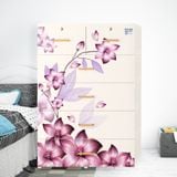  Tủ nhựa DELI MAX 5 tầng 