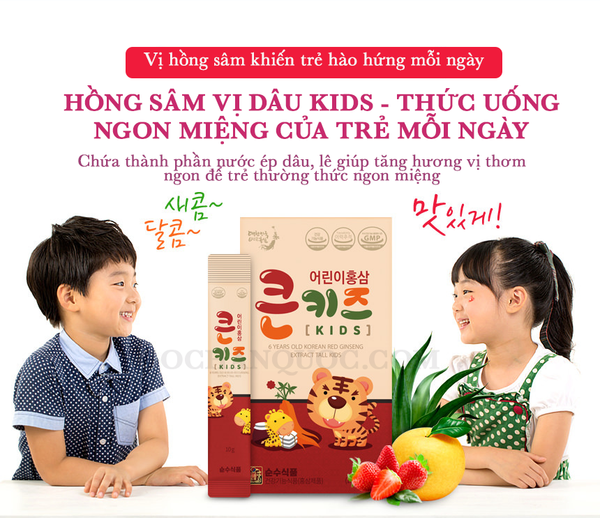  HỒNG SÂM TRẺ EM VỊ DÂU BIG KIDS 30 GÓI 