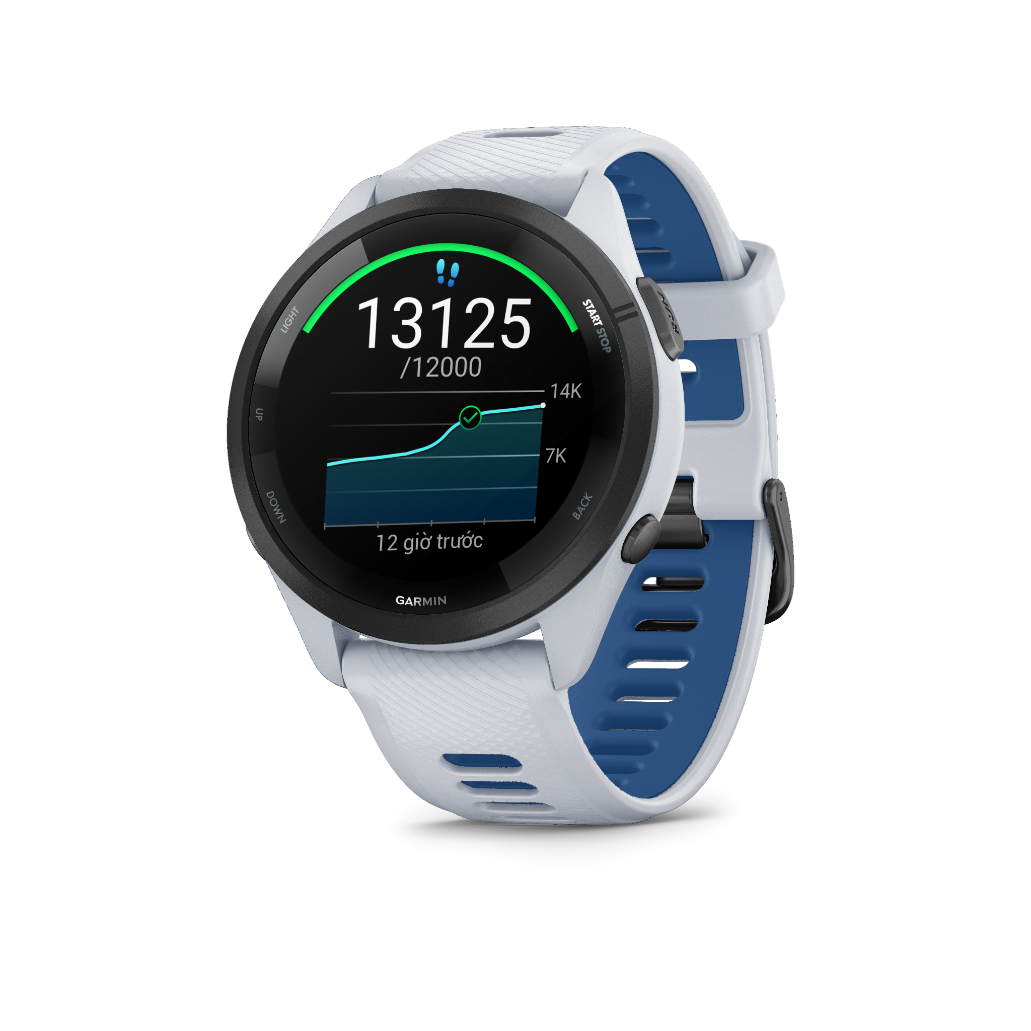 Forerunner 265 libratech