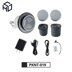 (PKNT-019) Loa Bluetooth Tích Hợp Sạc Không Dây, Sạc USB Type A, Loa Sub 2.0|Phụ kiện nội thất thông minh