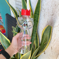 Chai Nhựa PET 500ml Mèo | Chai Nhựa PET 500ml Hình Mèo Đen, Hello Kitty