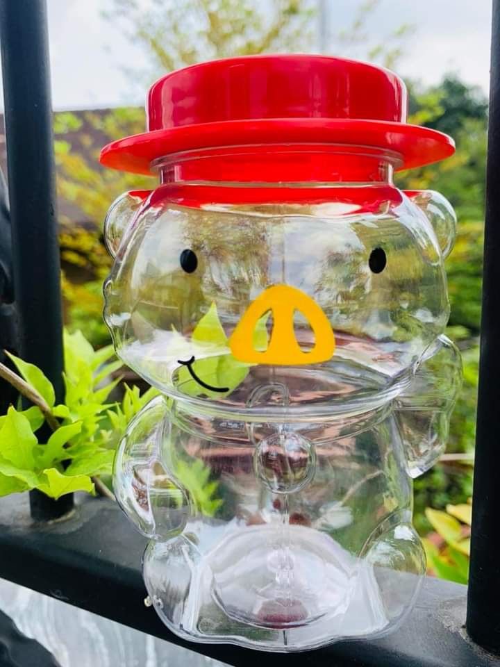 Hũ Nhựa PET 500ml  Heo mũi vàng | Hũ PET nắp nhựa