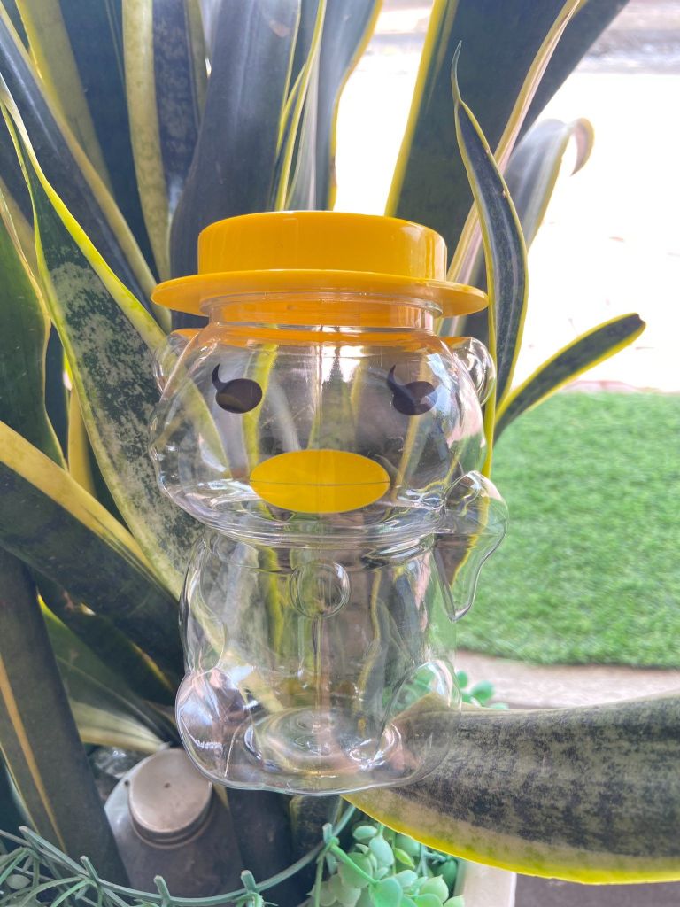 Hũ Nhựa PET 500ml hình Vịt Lông Mi | Hũ PET nắp nhựa