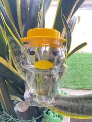 Hũ Nhựa PET 500ml hình Vịt Lông Mi | Hũ PET nắp nhựa