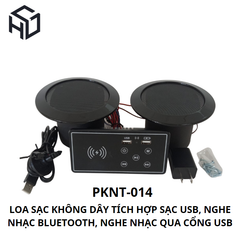 (PKNT-014) Loa Bluetooth Tích Hợp Sạc Không Dây, Ổ Cắm USB Type A Có Bảng Điều Khiển
