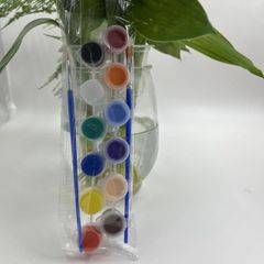 Combo đầy đủ 12 hủ màu acrylic kèm 2 cọ và đính đá tạo điểm nhấn cho nhân vật
