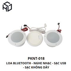 (PKNT-018) Loa Bluetooth Tích Hợp Sạc Không Dây, Cổng USB Type A|Phụ kiện nội thất thông minh
