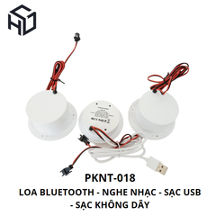 (PKNT-018) Loa Bluetooth Tích Hợp Sạc Không Dây, Cổng USB Type A|Phụ kiện nội thất thông minh