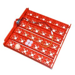 Khay Đảo Trứng Gà, Vịt, Chim Hình Hoa Mai