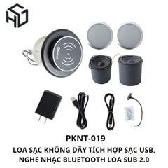 (PKNT-019) Loa nghe nhạc Bluetooth tích hợp Sạc Không Dây, Sạc USB.