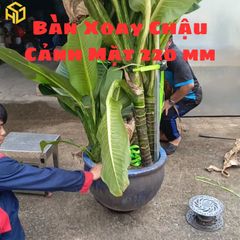 Bàn Xoay Cây Cảnh Chịu Tải 200kg Cải Tiến Có Chốt Khóa Xoay, Nắp Che Cát Chống Kẹt Bạc Đạn