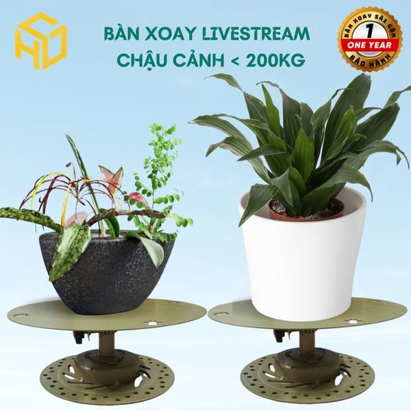 Bàn xoay livestream cây cảnh, bàn xoay bonsai chịu tải nặng siệu bền size 29 cm sơn vàng