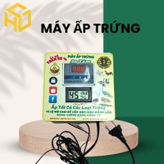 Máy Ấp Trứng Trong Thùng Xốp An Tâm - Giải Pháp Ấp Trứng Tự Động Cho Gia Đình
