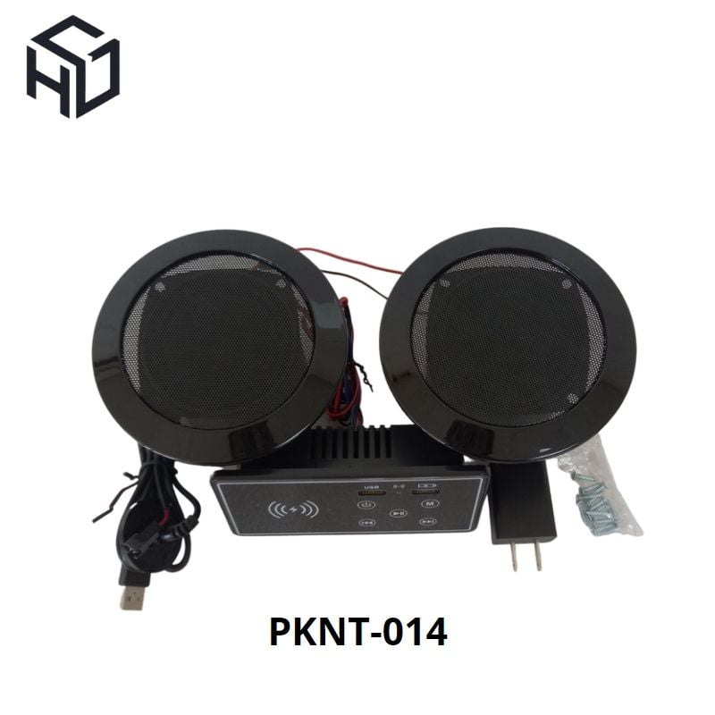 Loa Bluetooth Tích Hợp Sạc Không Dây, Ổ Cắm USB  Có Bảng Điều Khiển âm trên mặt bàn (PKNT-014)