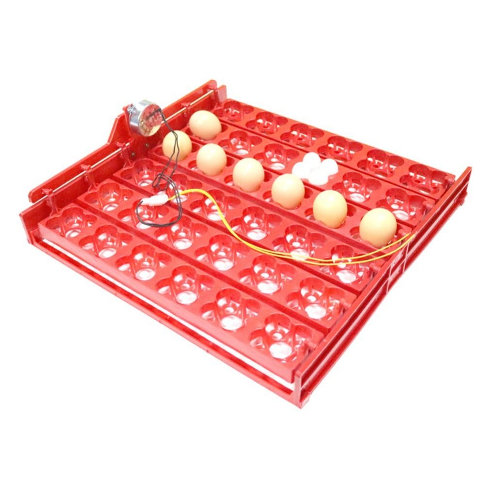 Khay Đảo Trứng Gà, Vịt, Chim Hình Hoa Mai