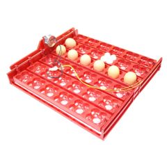 Khay Đảo Trứng Gà, Vịt, Chim Hình Hoa Mai