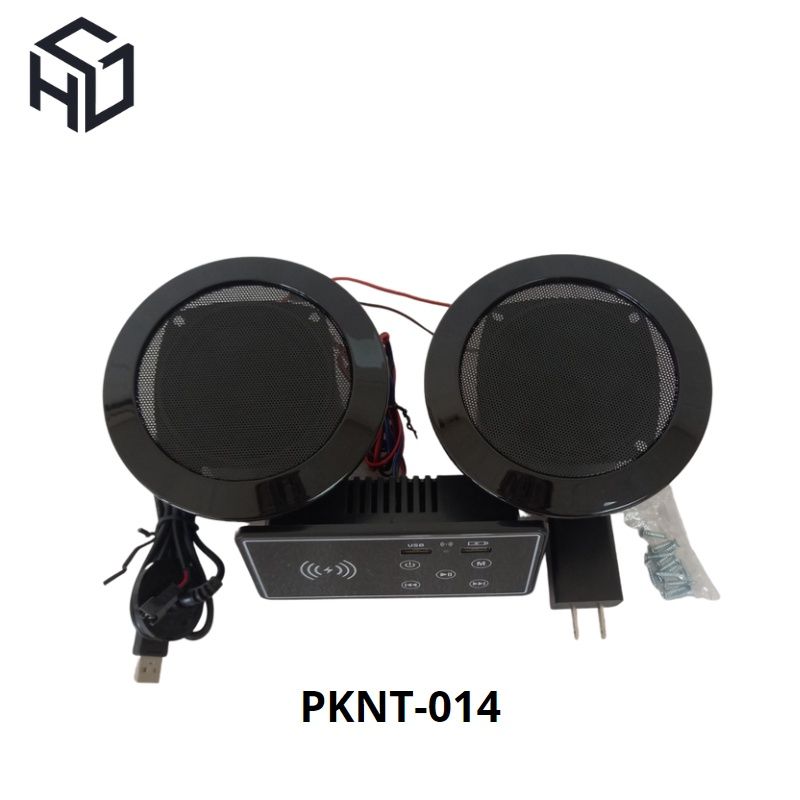 Loa Bluetooth Tích Hợp Sạc Không Dây, Ổ Cắm USB Type A Có Bảng Điều Khiển - (PKNT-014)