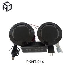 Loa Bluetooth Tích Hợp Sạc Không Dây, Ổ Cắm USB Type A Có Bảng Điều Khiển - (PKNT-014)