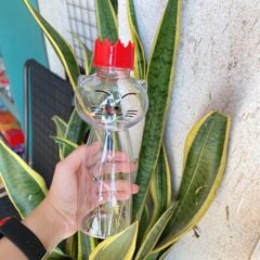 Chai nhựa đựng trà sữa nắp nhôm cao cấp hình con mèo cute 500ml - Hủ nhựa PET đựng trà sữa cho các quán ăn vặt - CN005
