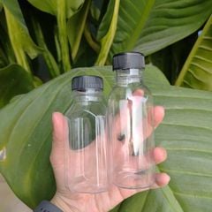 Combo 100 Chai nhựa PET 100ml nắp nhựa đen hình tròn, vuông, dẹp - Chai đóng trà sữa 5K giá rẻ