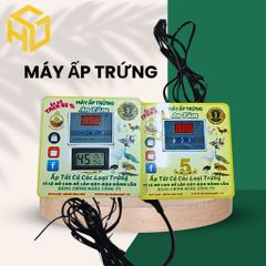 Máy Ấp Trứng Trong Thùng Xốp An Tâm - Giải Pháp Ấp Trứng Tự Động Cho Gia Đình