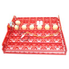Khay Đảo Trứng Gà, Vịt, Chim Hình Hoa Mai