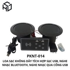 Loa Bluetooth Tích Hợp Sạc Không Dây, Ổ Cắm USB Type A Có Bảng Điều Khiển - (PKNT-014)
