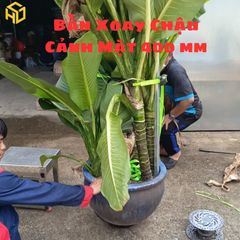 Bàn Xoay Bonsai Size 40 cm Chịu Tải 200kg Có Khóa Vặn Chống Xoay Giá Tốt Nhất Shopee
