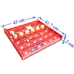 Khay Đảo Trứng Gà, Vịt, Chim Hình Hoa Mai