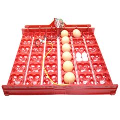 Khay Đảo Trứng Gà, Vịt, Chim Hình Hoa Mai