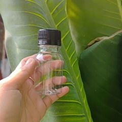 Chai Nhựa PET 50ml Cổ 28mm – Chai Nhựa Đựng Nước Sốt, Nước Chấm Chắc Chắn