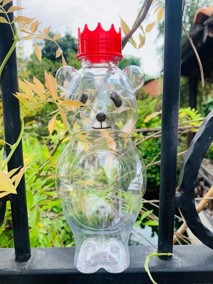 Chai Nhựa PET 700ml Gấu Panda | Chai Nhua PET 700ml Gấu Panda