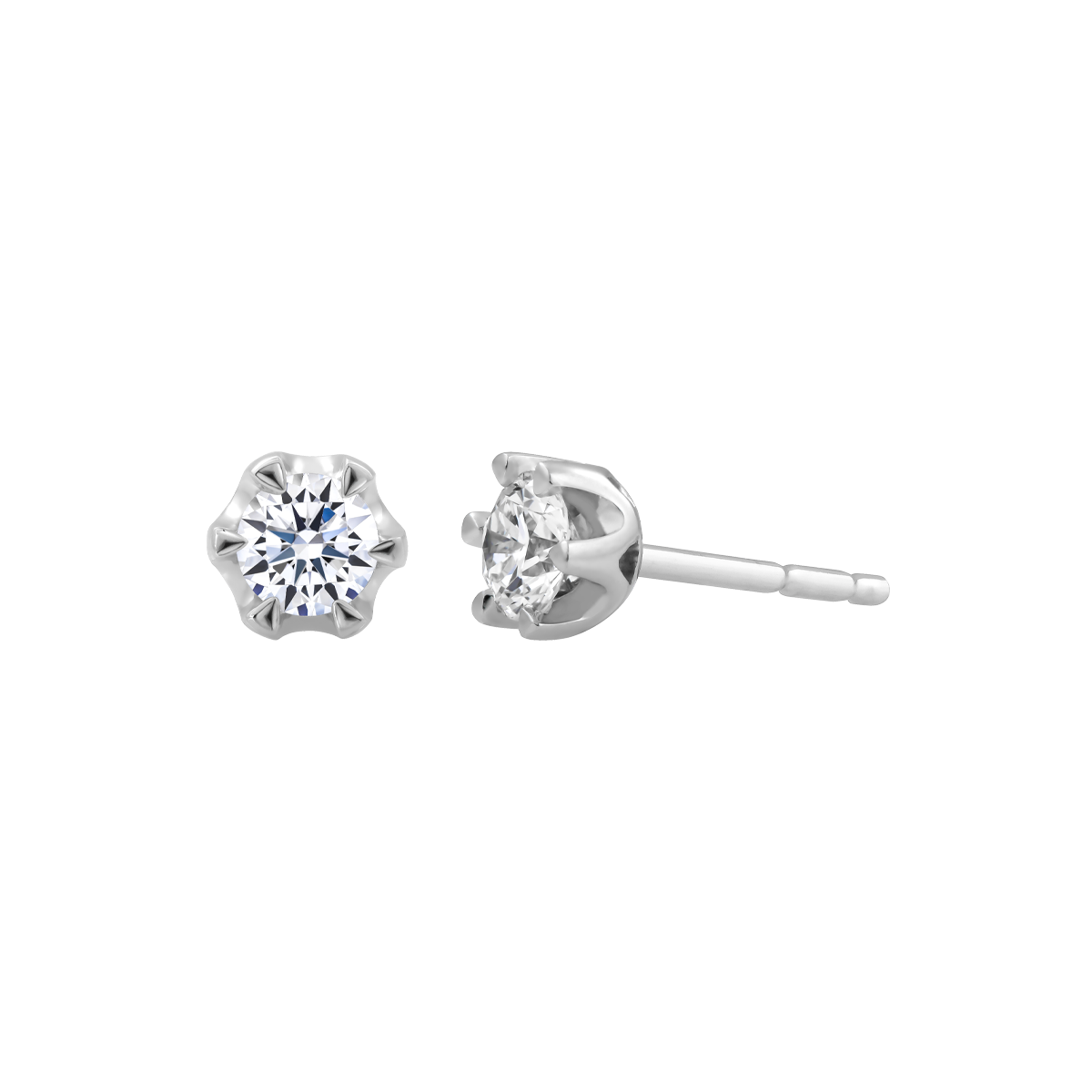 Ổ Bông vàng 14K Docile 3C