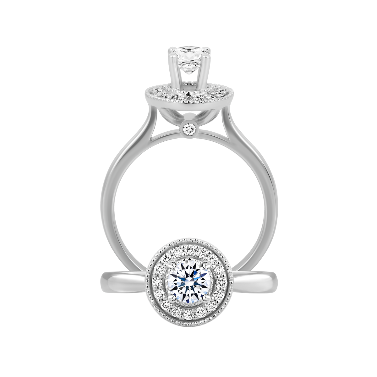 Nhẫn nữ kim cương tấm vàng 14K Elucidate 3C