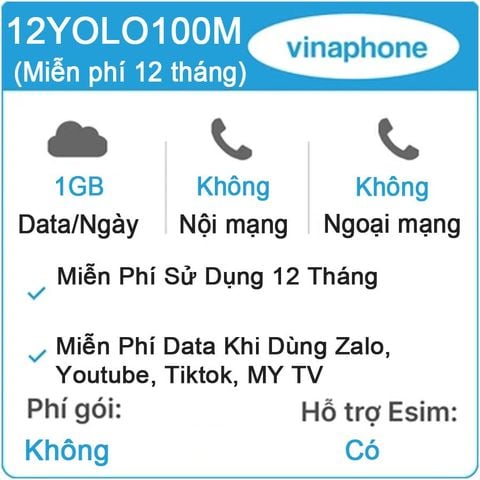 Sim 4G Vinaphone 12YOLO100M 1GB/Ngày x 12 Tháng Free Youtube, Facebook, Tiktok, MyTV