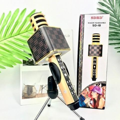 Mic hat karaoke SD18 cao cấp