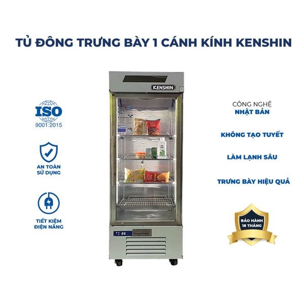 tu-dong-dung-mat-kinh-1-canh-kenshin-ks-1k500f