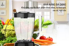 Máy xay sinh tố Kangaroo KG2B8