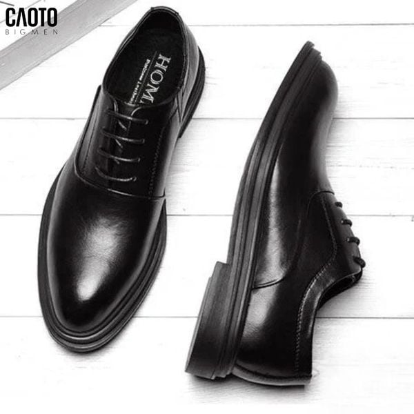  Giày Tây Winston Oxford Big Size 