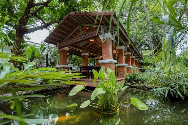  ảnh sân vườn 